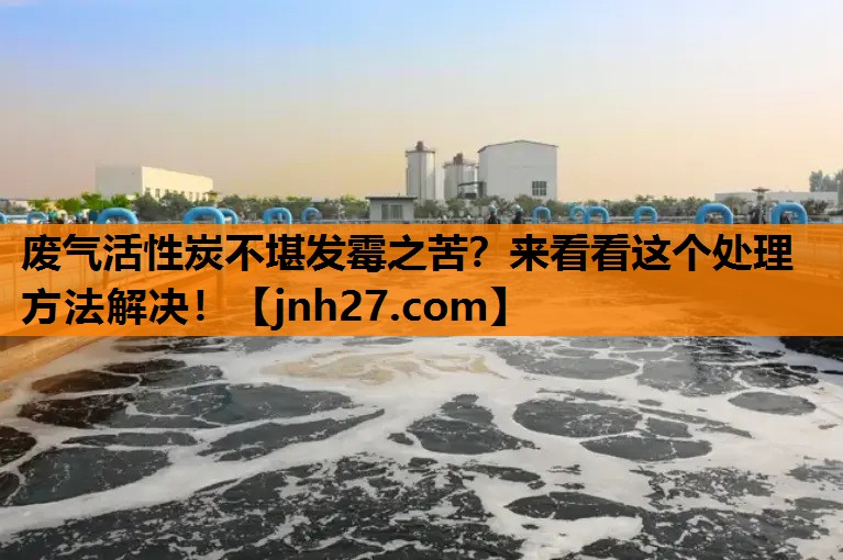 废气活性炭不堪发霉之苦？来看看这个处理方法解决！