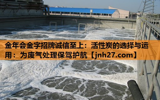 活性炭的选择与运用：为废气处理保驾护航
