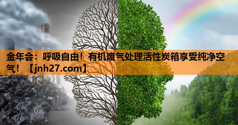 呼吸自由！有机废气处理活性炭箱享受纯净空气！